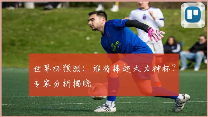 世界杯预测：谁将捧起大力神杯？专家分析揭晓