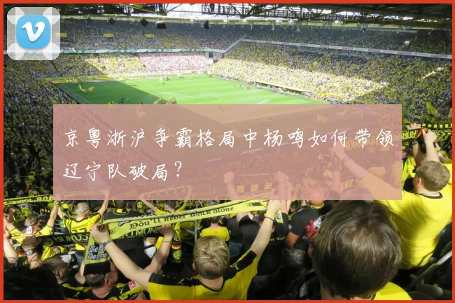 京粤浙沪争霸格局中杨鸣如何带领辽宁队破局？